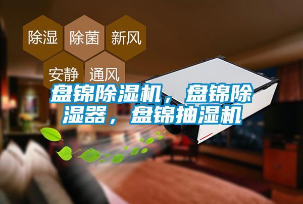 盤錦除濕機(jī),盤錦除濕器,盤錦抽濕機(jī)