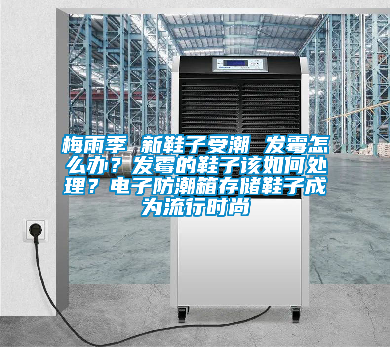 梅雨季 新鞋子受潮 發霉怎么辦？發霉的鞋子該如何處理？電子防潮箱存儲鞋子成為流行時尚