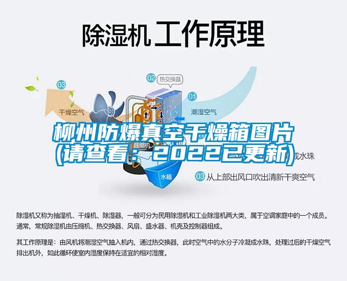 柳州防爆真空干燥箱圖片(請查看:2022已更新)