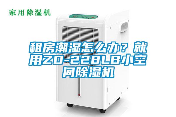 租房潮濕怎么辦?就用ZD-228LB小空間除濕機