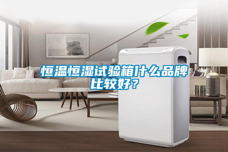 恒溫恒濕試驗(yàn)箱什么品牌比較好?