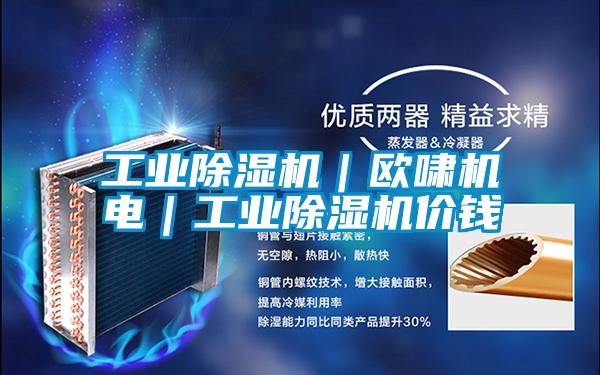 工業(yè)除濕機|歐嘯機電|工業(yè)除濕機價錢