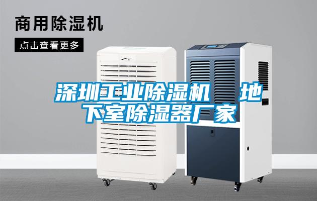 深圳工業除濕機 地下室除濕器廠家