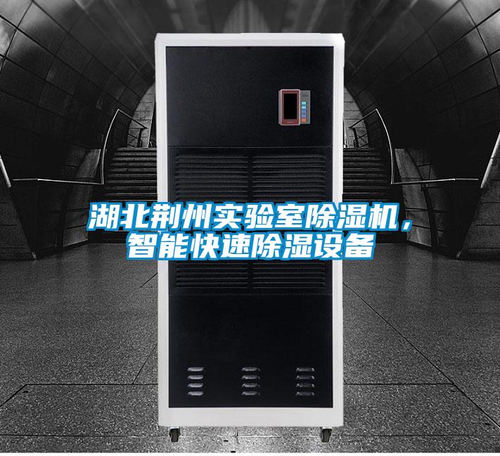 湖北荊州實驗室除濕機,智能快速除濕設(shè)備