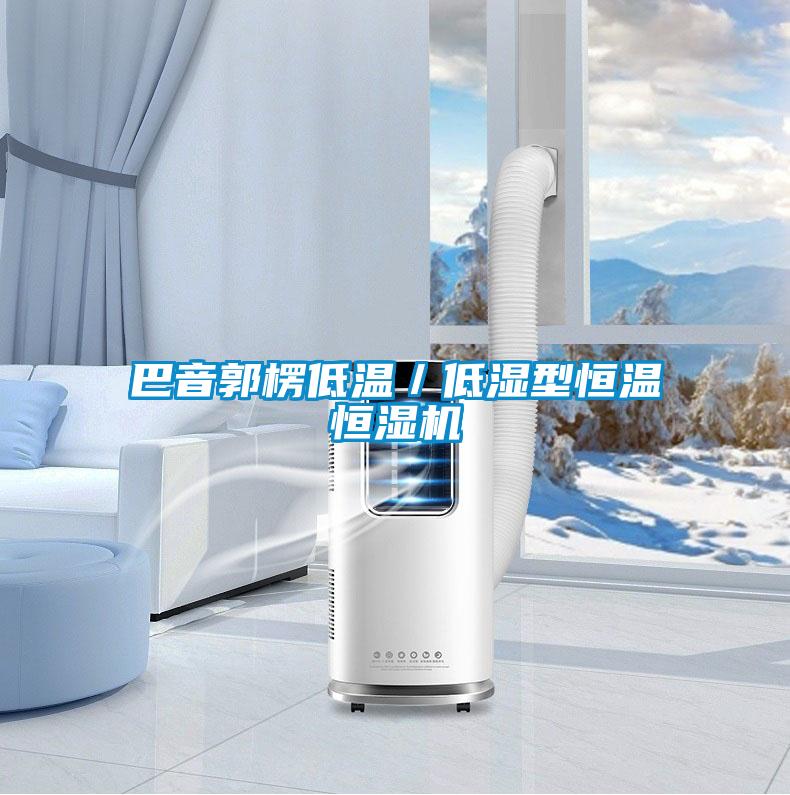 巴音郭楞低溫/低濕型恒溫恒濕機(jī)