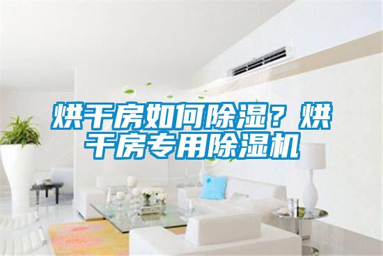 烘干房如何除濕?烘干房專用除濕機(jī)