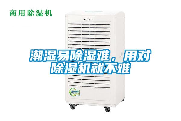 潮濕易除濕難，用對除濕機就不難