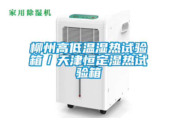 柳州高低溫濕熱試驗箱/天津恒定濕熱試驗箱