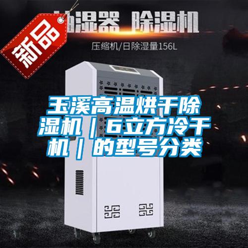 玉溪高溫烘干除濕機(jī)|6立方冷干機(jī)|的型號(hào)分類