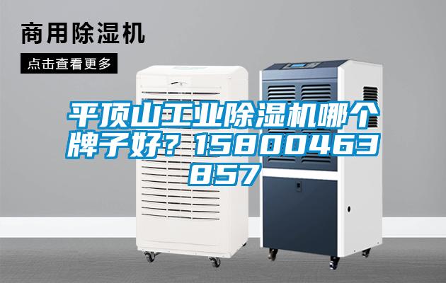平頂山工業除濕機哪個牌子好?15800463857