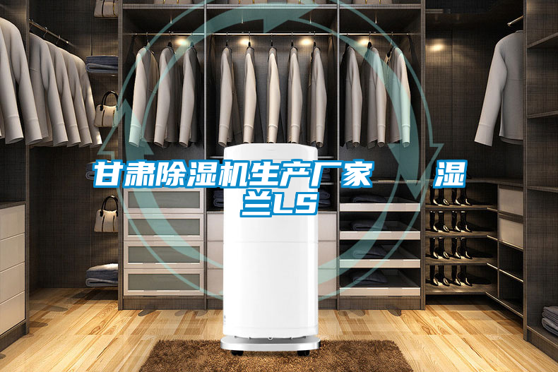 甘肅除濕機生產廠家 濕蘭LS