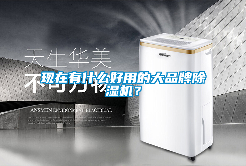 現在有什么好用的大品牌除濕機？