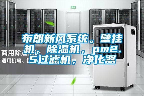 布朗新風系統。壁掛機，除濕機，pm2.5過濾機，凈化器
