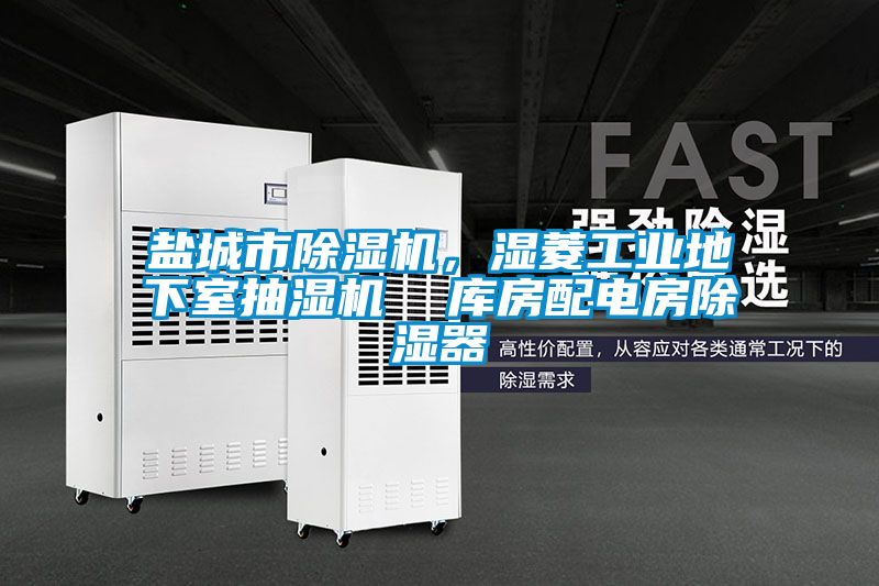 鹽城市除濕機,濕菱工業(yè)地下室抽濕機 庫房配電房除濕器
