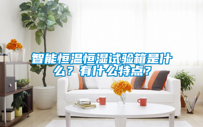智能恒溫恒濕試驗箱是什么？有什么特點？