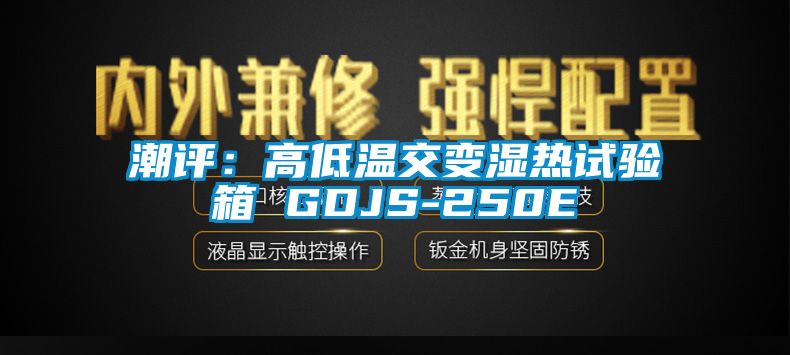 潮評:高低溫交變濕熱試驗箱 GDJS-250E