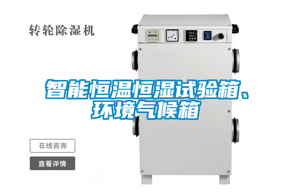 智能恒溫恒濕試驗(yàn)箱、環(huán)境氣候箱