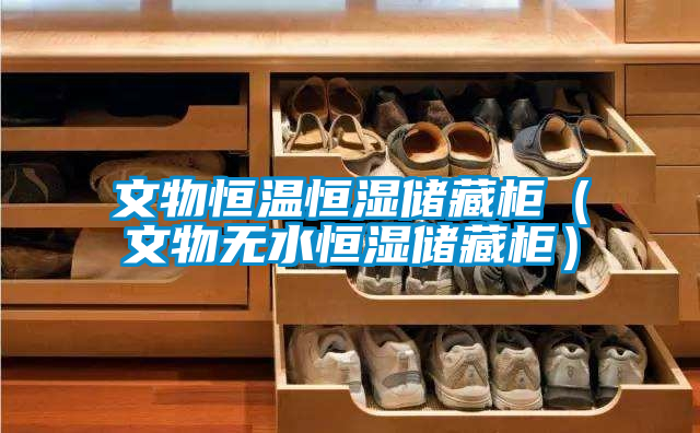 文物恒溫恒濕儲(chǔ)藏柜(文物無水恒濕儲(chǔ)藏柜)