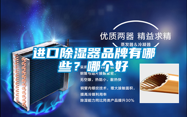 進口除濕器品牌有哪些？哪個好