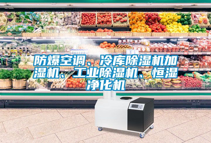 防爆空調(diào)、冷庫除濕機(jī)加濕機(jī)、工業(yè)除濕機(jī)、恒濕凈化機(jī)