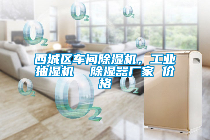 西城區車間除濕機，工業抽濕機  除濕器廠家 價格
