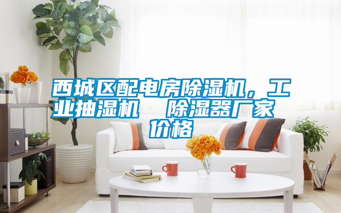 西城區(qū)配電房除濕機(jī),工業(yè)抽濕機(jī) 除濕器廠家 價(jià)格