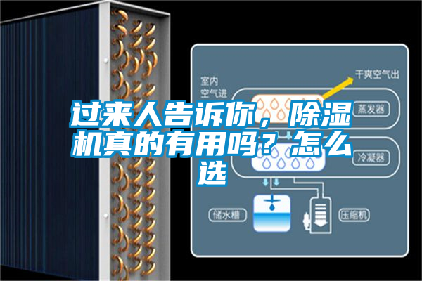 過來人告訴你，除濕機真的有用嗎？怎么選